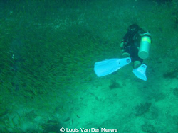 fish tunnel by Louis Van Der Merwe 